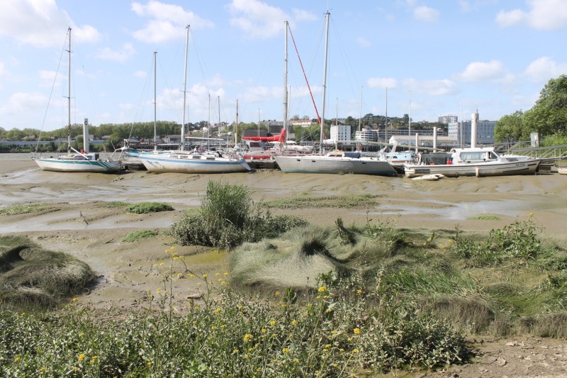 vase-herbes-2019-IMG_6654