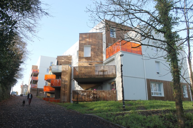 Motte-IMG_2624