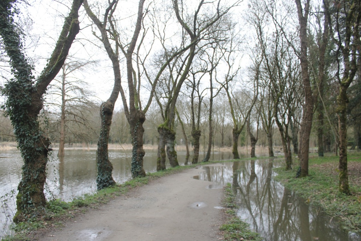 prairies-inondees-IMG_3057