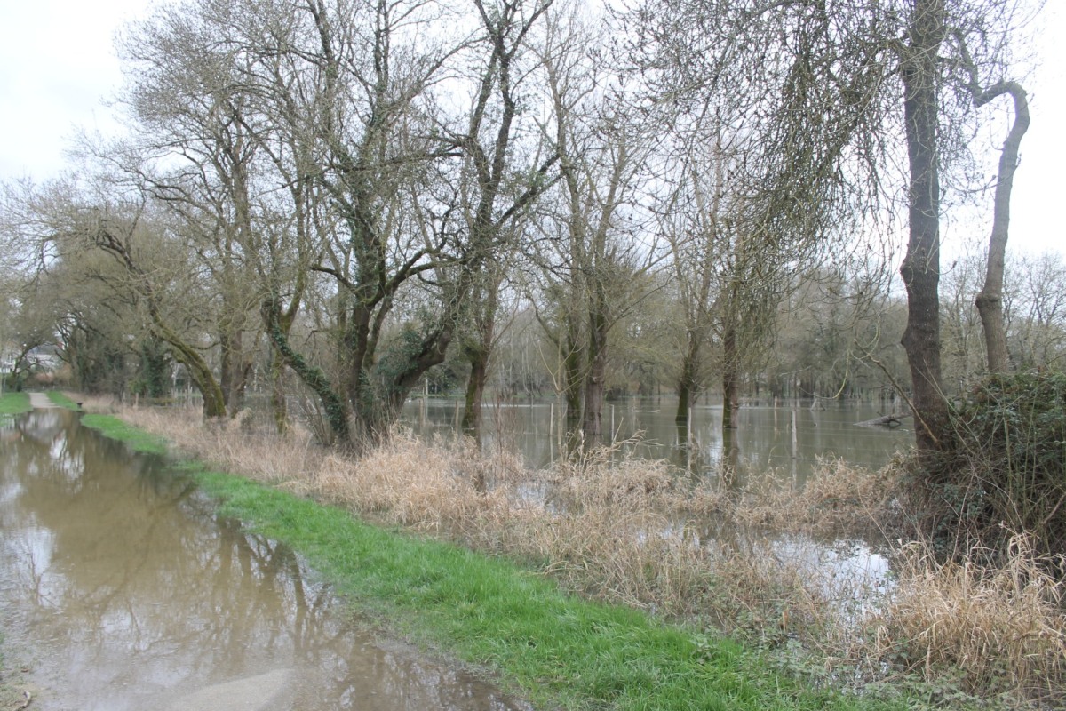 prairies-inondees-IMG_3060