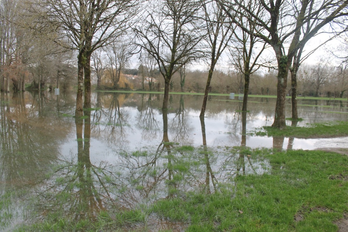 prairies-inondees-IMG_3064