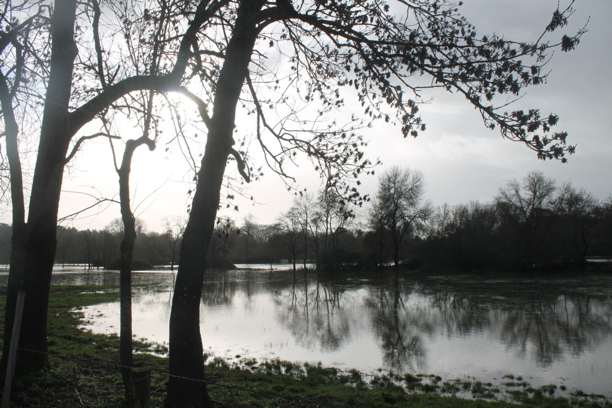 prairies-inondees-IMG_7097