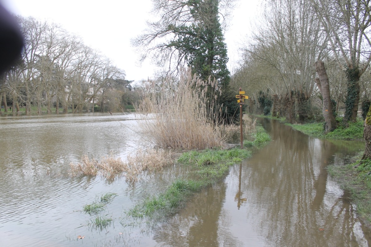 rives-inondees-IMG_3056