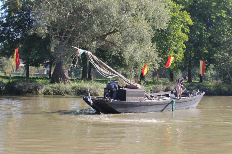 Chantenay-10-Sevre-142