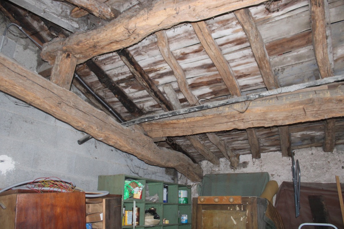 3-Robiniere-Clouet-IMG_4483