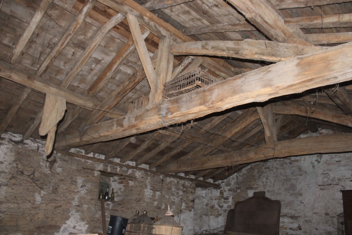 3-Robiniere-Clouet-IMG_4486