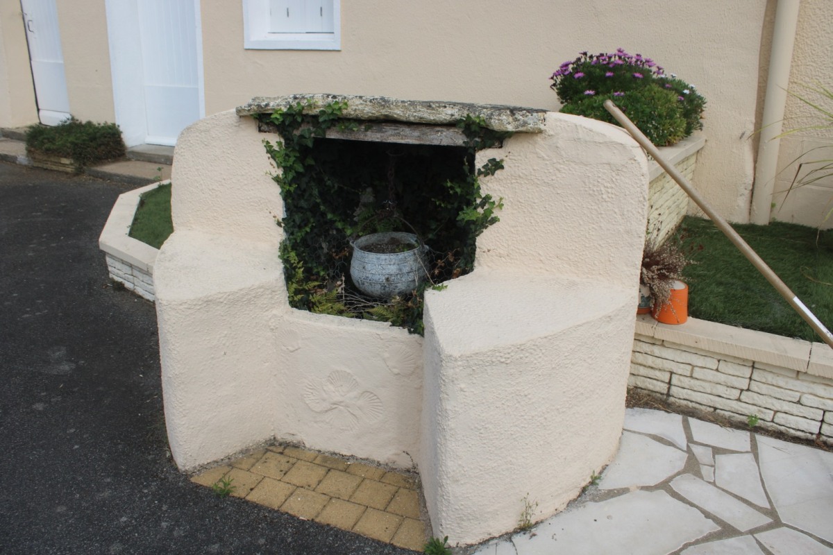 3-Robiniere-puits-IMG_4484