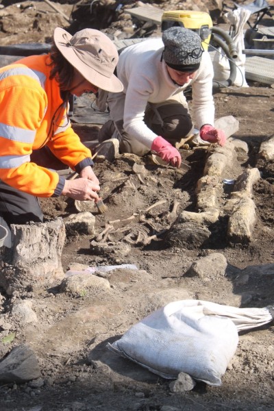 fouille-carre-Daviais-IMG_7585