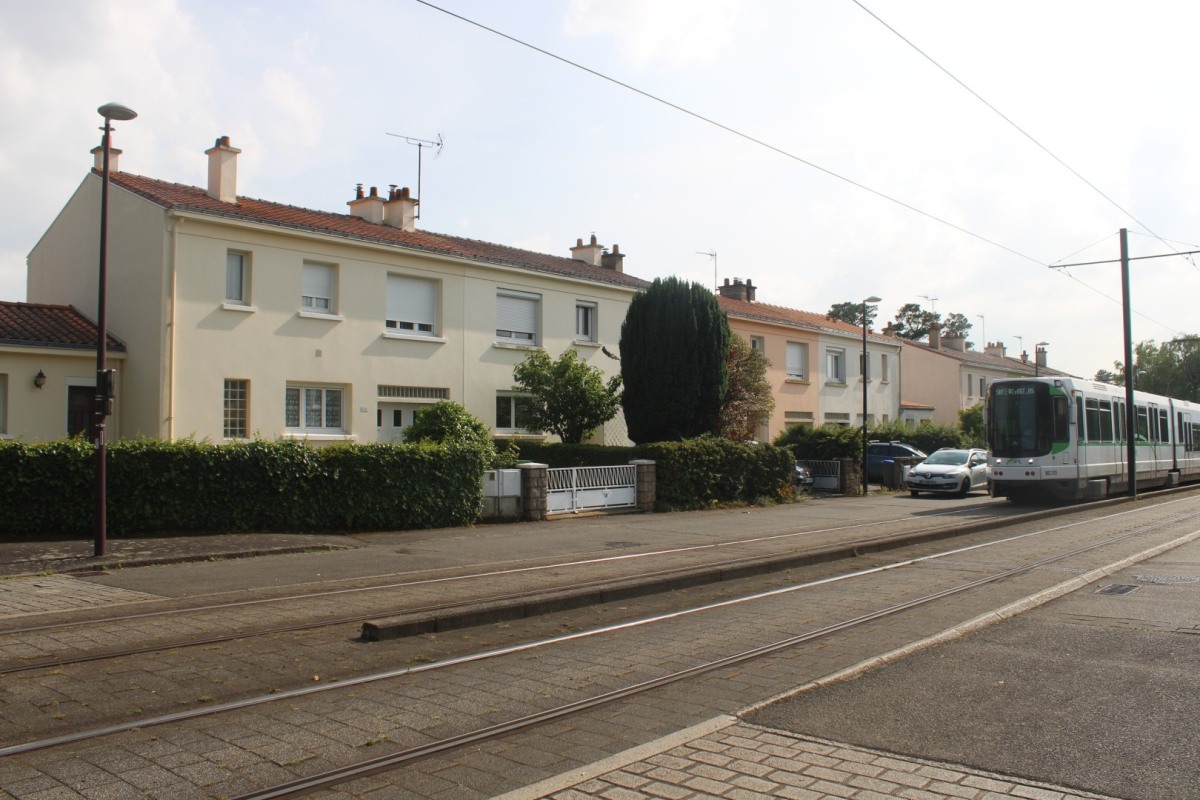 Anjou-COL-IMG_2098