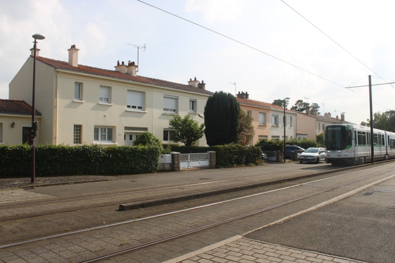 Anjou-COL-IMG_2098