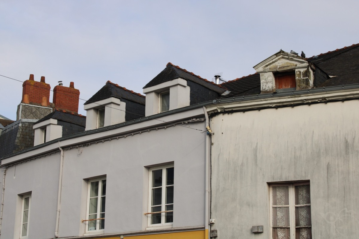 FFaure-IMG_0478