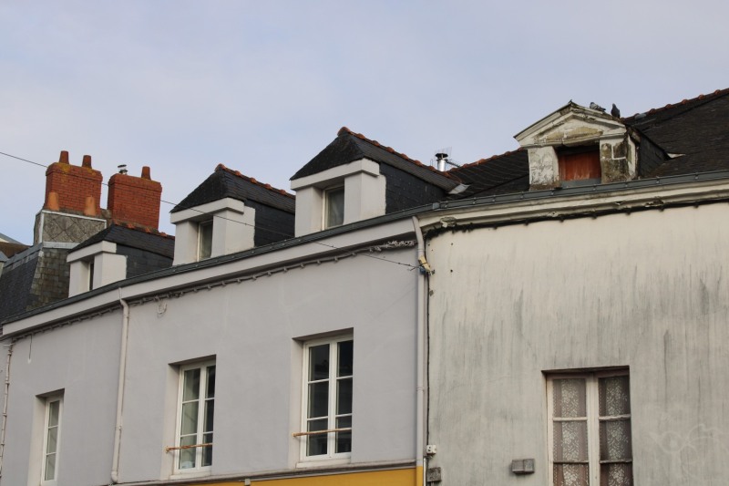 FFaure-IMG_0478