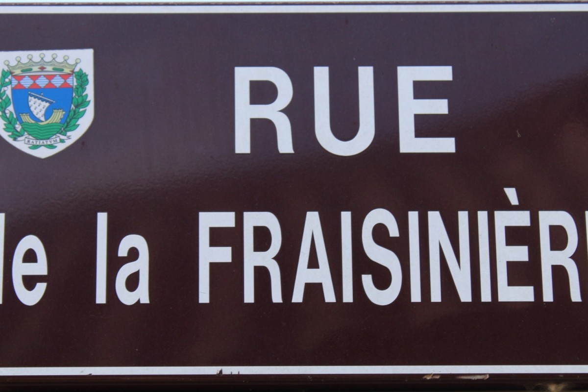 Fraisiniere-IMG_0560