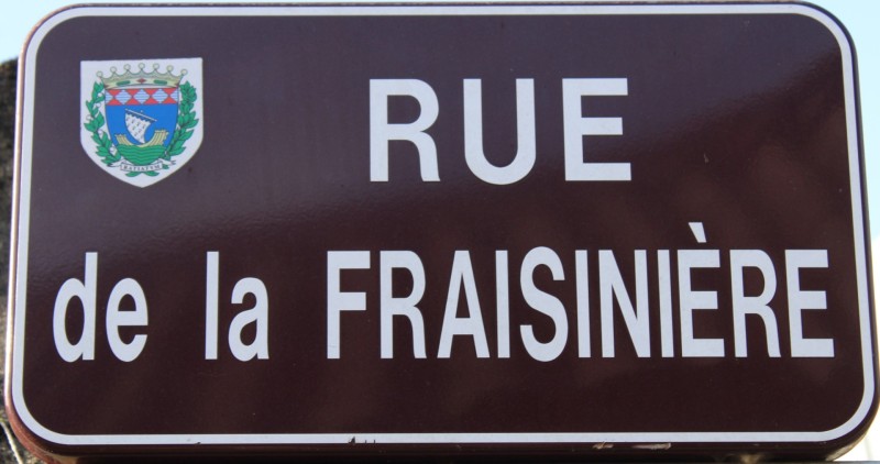 43 Jaurès Fraisiniere-IMG_0560