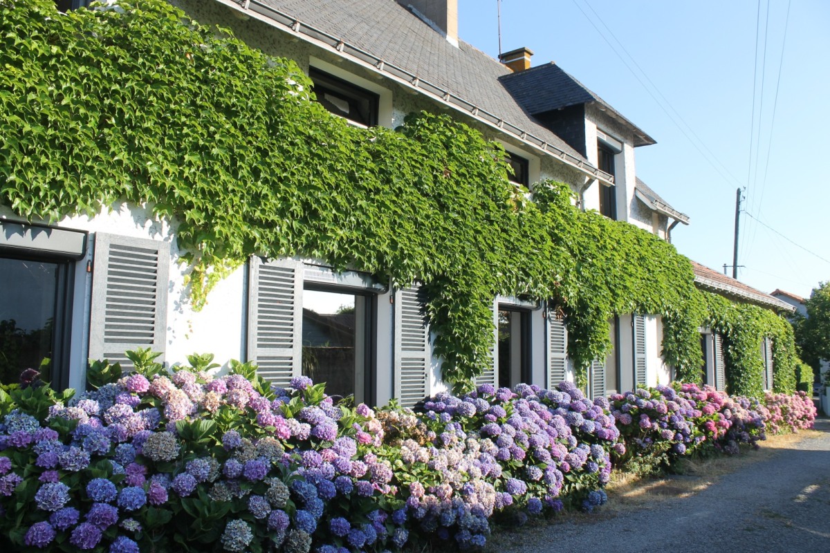 22-Barbusse-IMG_9185