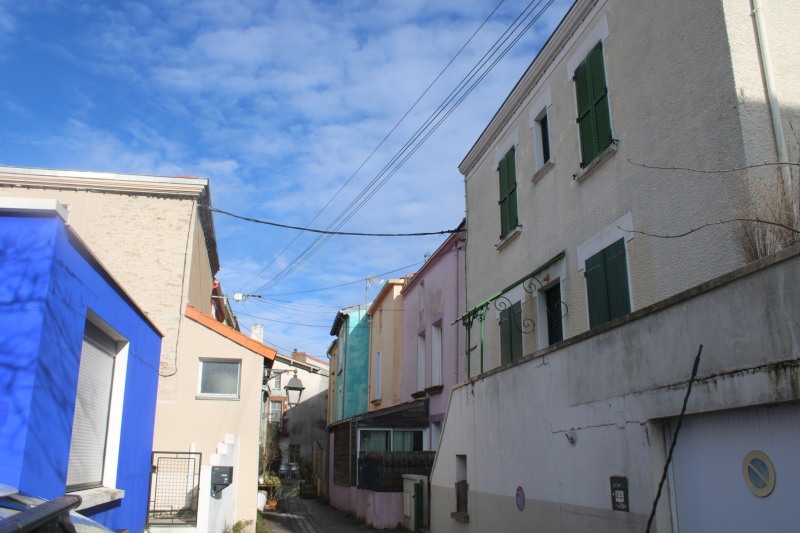 Bardin-IMG_6765