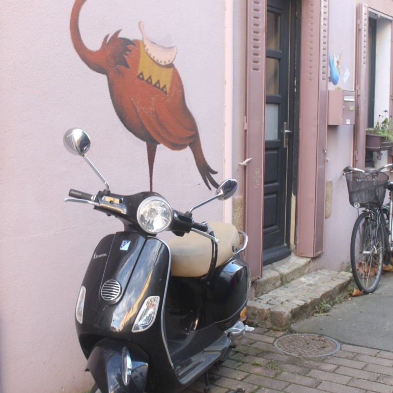 Boju-IMG_6618