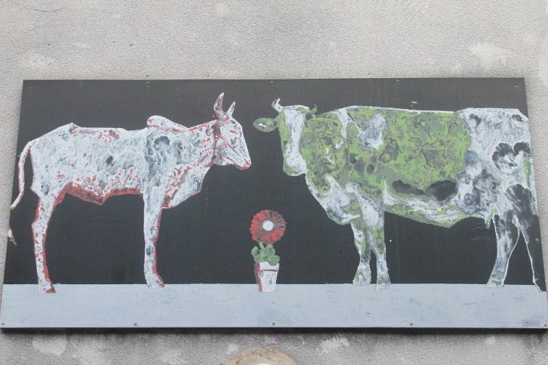 Douane-IMG_7795