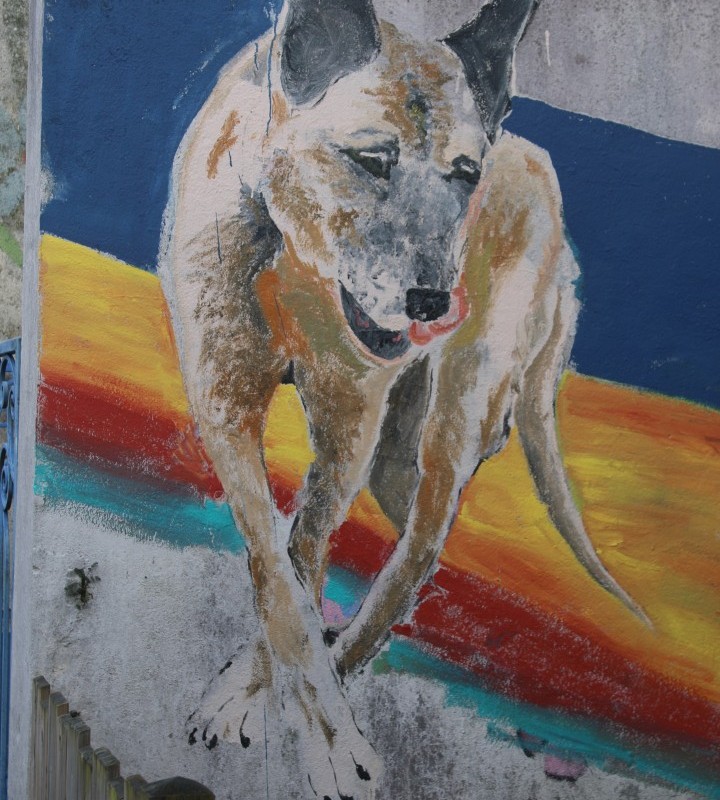 Grand-Rue-21-IMG_6708