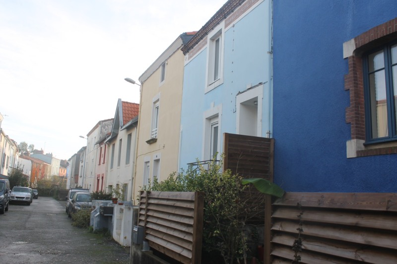Agaisse-IMG_6506