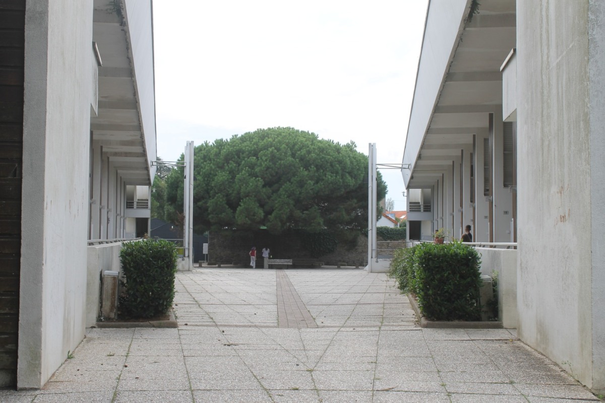 Cap-Horniers-IMG_5166