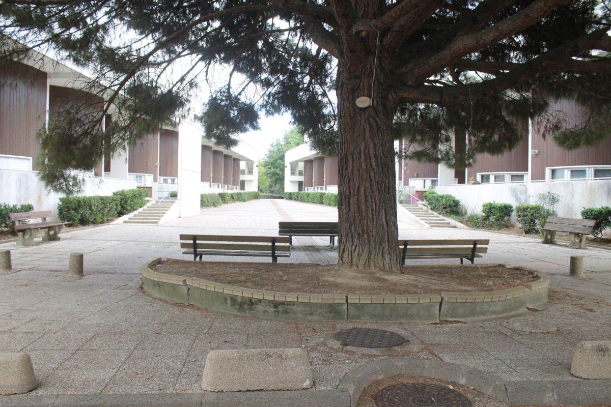 Cap-Horniers-IMG_5170