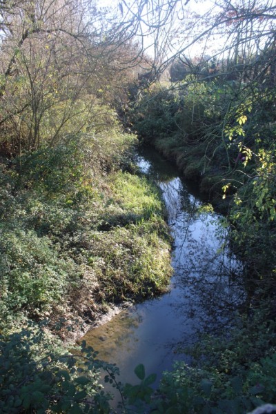 Seil-IMG_5856