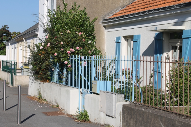 33-FThomazeau-149
