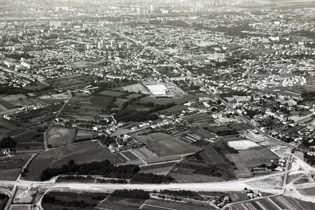 1986-Bauche-Thiraud-Ragon-505W1158_14