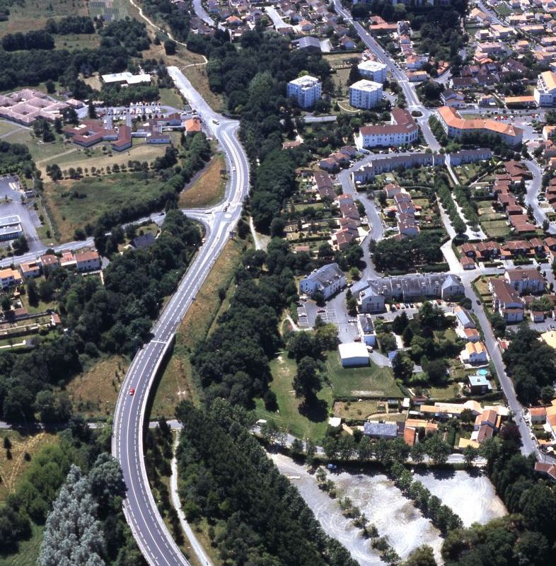 550W_341_06_131-Bourdonniere-jaunais