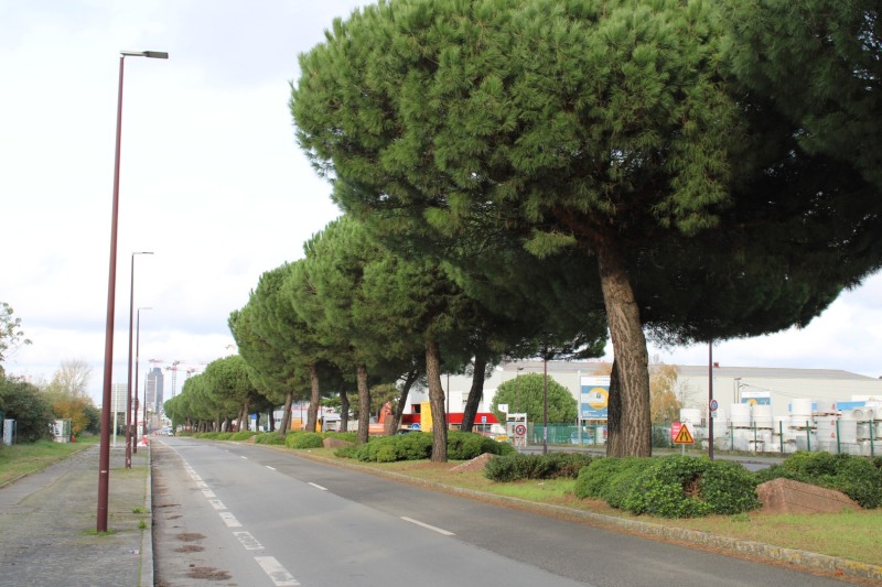 GR_Marguyonnes-IMG_0817