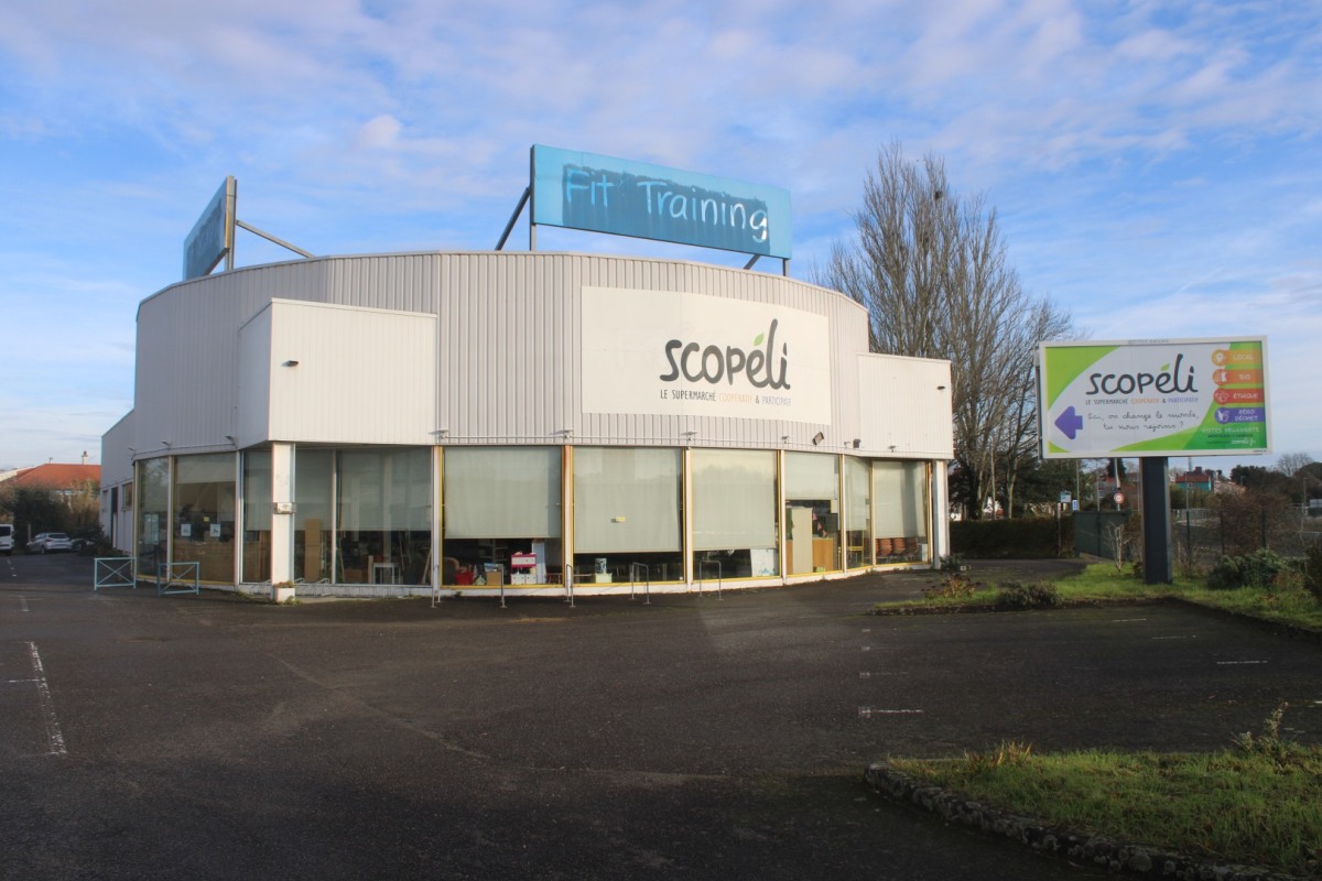 GR_Scopeli-IMG_5708