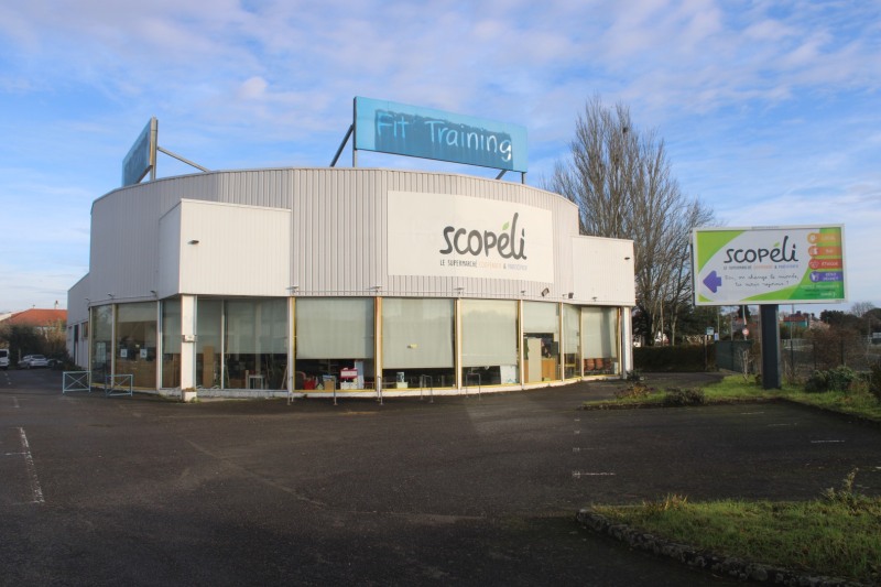 GR_Scopeli-IMG_5708