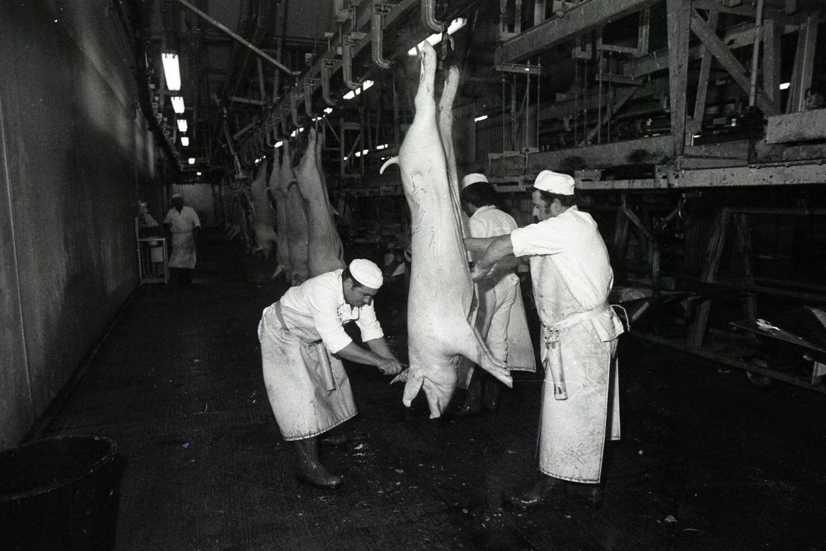 AMRezé_abattoirs-505W983_28