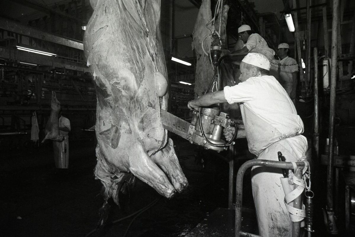 AMRezé_abattoirs-505W983_49