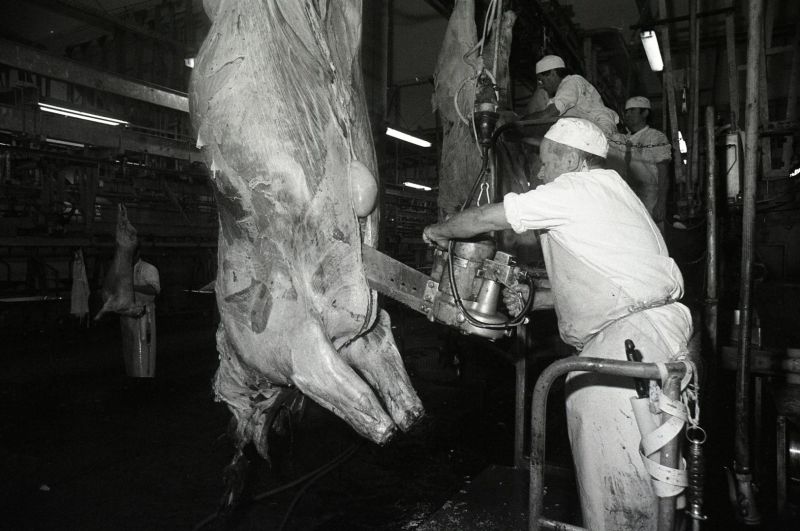 AMRezé_abattoirs-505W983_49